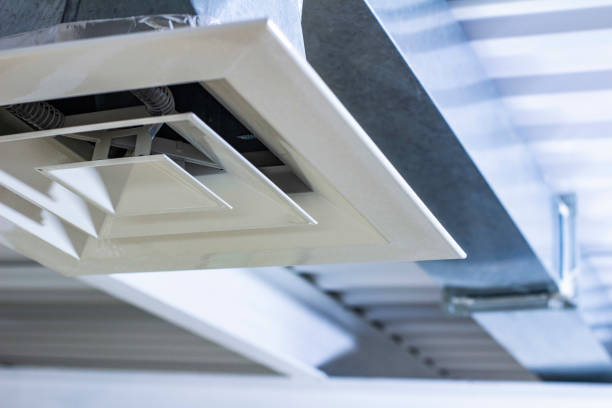 Best Professional Duct Cleaning Services  in La Villa, TX