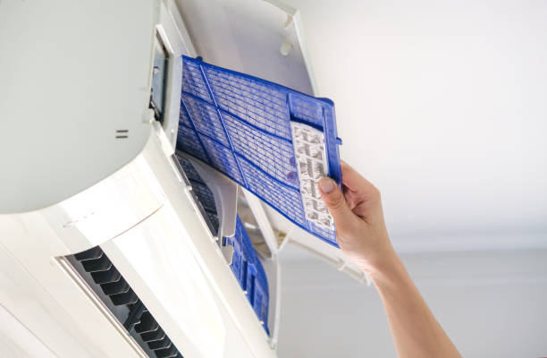 Best Residential Air Duct Cleaning  in La Villa, TX